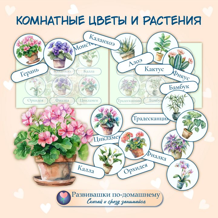 Комнатные цветы. На липучках