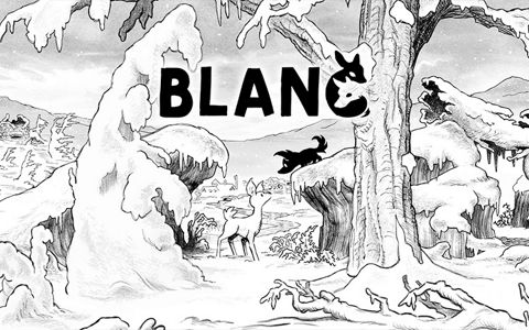 Blanc - скачать ключи и сертификаты на Wildberries Цифровой | 165773