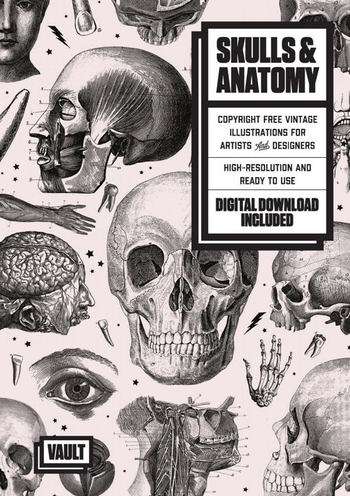 Skulls & Anatomy. Copyright Free Vintage Illustrations for Artists & Designers