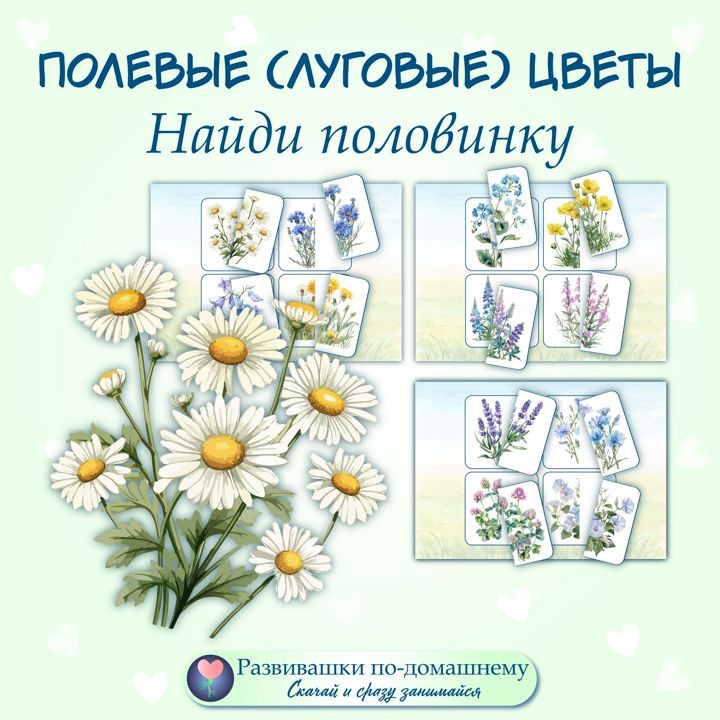 Полевые цветы. Найди половинку