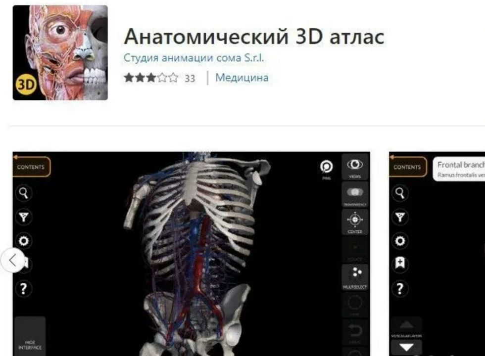 Anatomy 3D atlas.