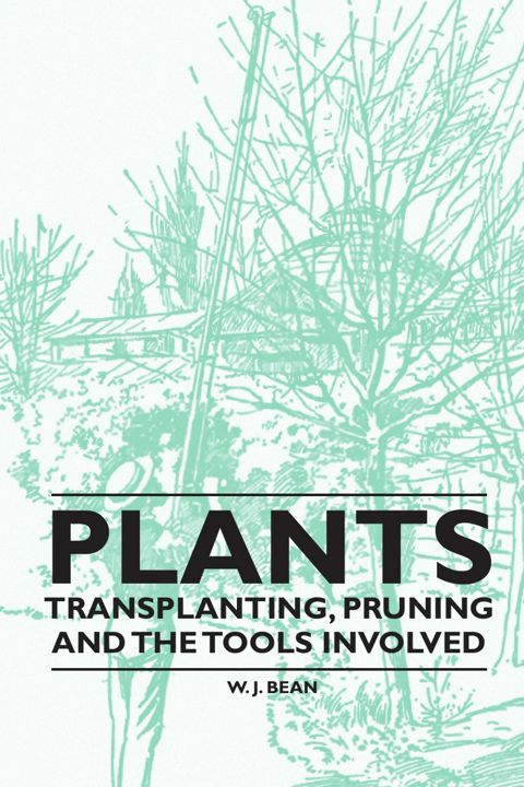 Plants - Transplanting, Pruning and the Tools Involved