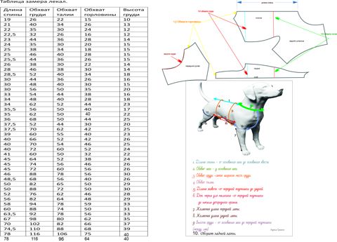 Выкройки для одежды собак из старой футболки