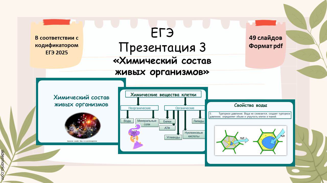 Презентация 3 ЕГЭ «Химический состав живых организмов»