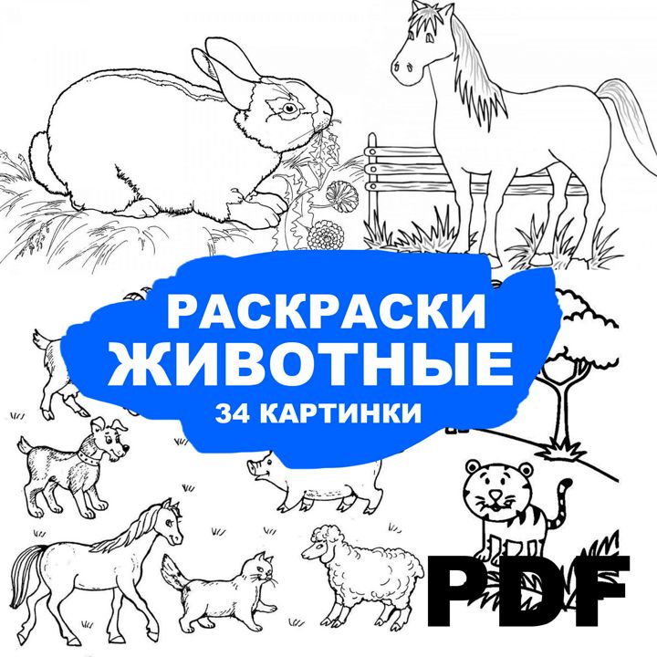 Раскраска Животные