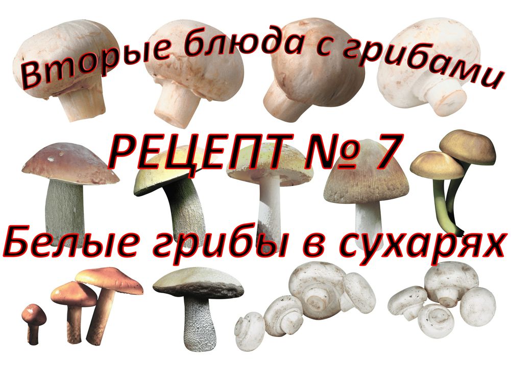 Вторые блюда Рецепт № 7 Белые грибы в сухарях