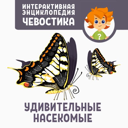 Приключения Чевостика: Удивительные насекомые