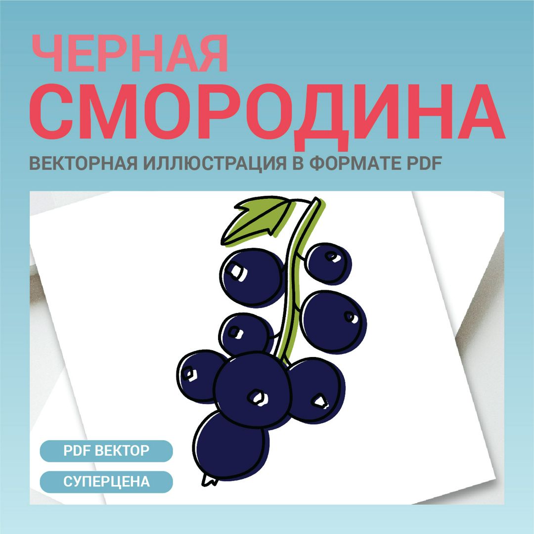 Черная смородина в стиле дудл. Векторная картинка pdf. Ягода в векторе. Для  меню, рецептов, этикетки