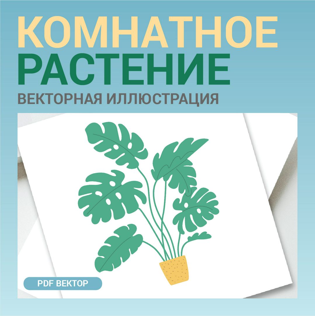 Комнатное растение Монстера. Векторная картинка pdf. Высокая четкость при любом масштабе