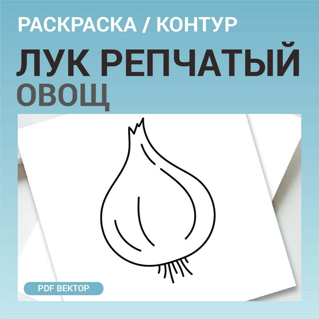 Лук репчатый овощ. Детская раскраска или шаблон для гравировки, вышивки. Векторная иллюстрация pdf.