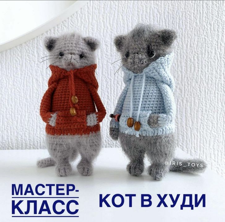 Мастер-класс Кот в худи