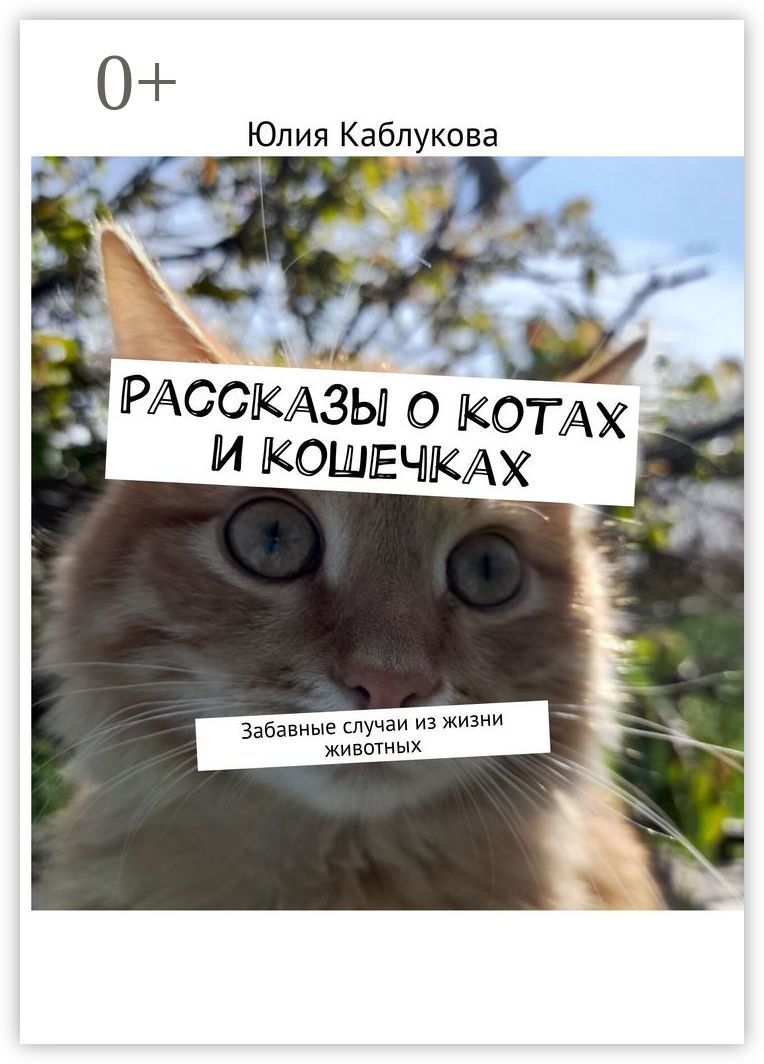 Рассказы о котах и кошечках