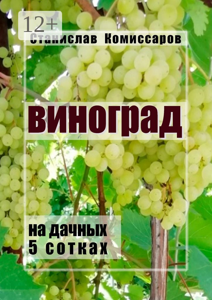 Виноград на дачных 5 сотках