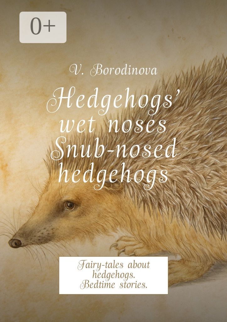 Hedgehogs' wet noses. Snub-nosed hedgehogs