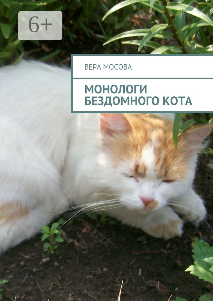 Монологи бездомного кота