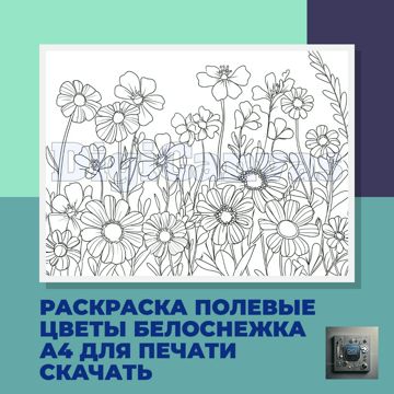 Раскраска для детей полевые цветы Белоснежка А4 для печати ...