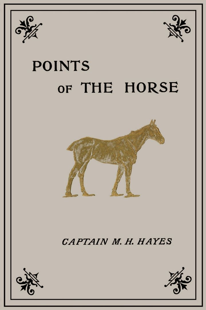 Points of the Horse