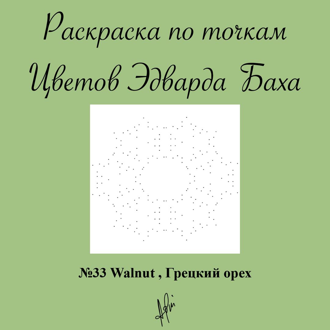 Раскраска по точкам, № 33 Walnut, Грецкий орех, Цветок Эдварда Баха, антистресс