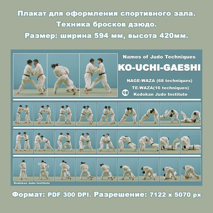 Плакат дзюдо формата А2. Контрбросок от подсечки изнутри CO-UCHI-GAESHI. Учебное пособие.