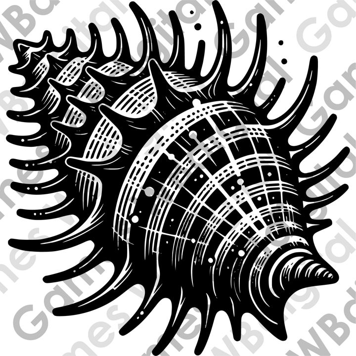 Спиральная раковина колючего моллюска. Экзотический сувенир из ракушек.