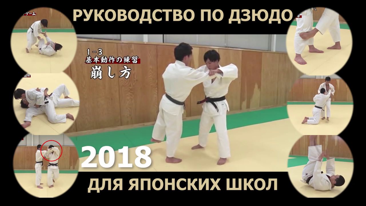 Руководство по дзюдо для Японских школ. 2018 год.