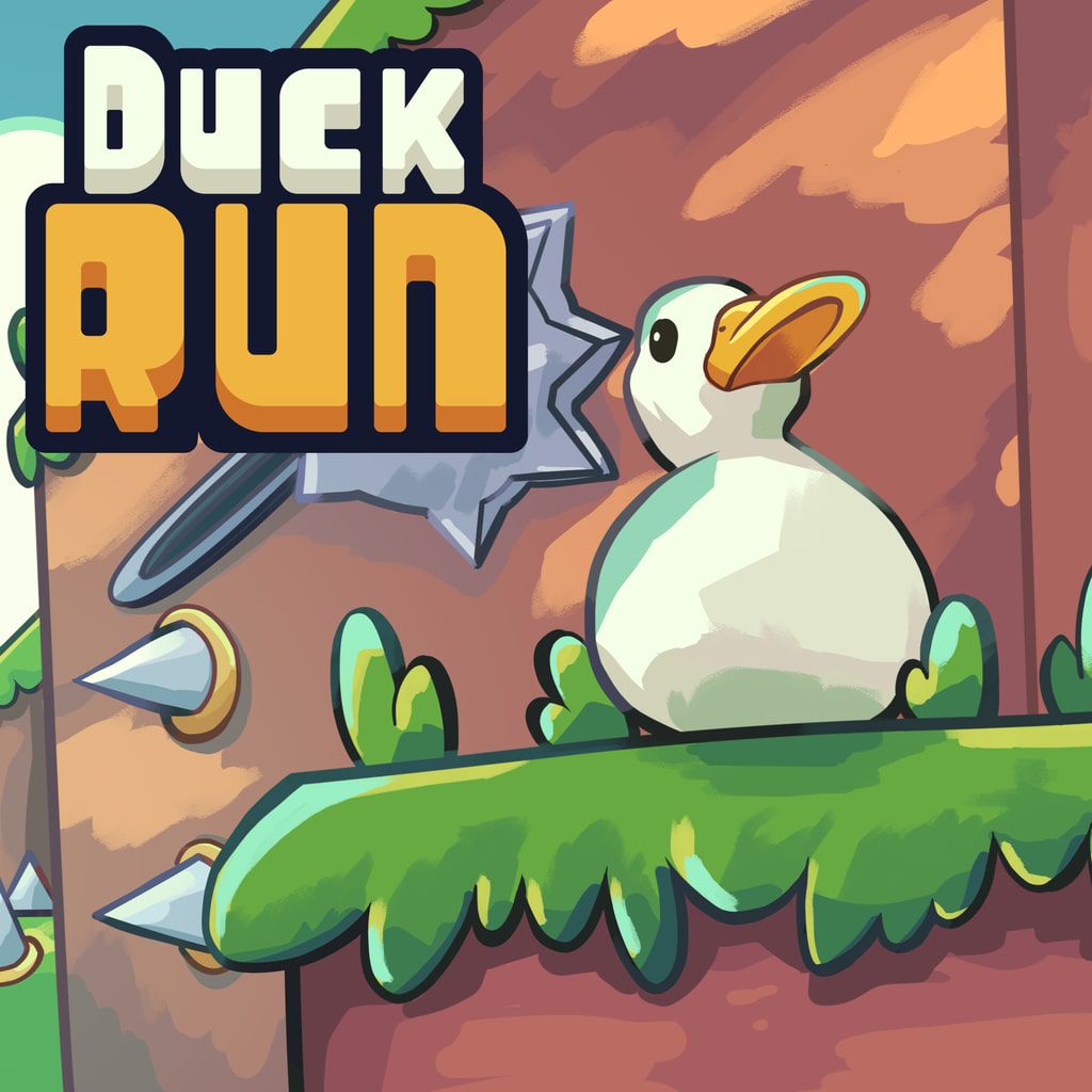 Duck Run Duck Run, для PlayStation 4 и PlayStation 5, на английском ...