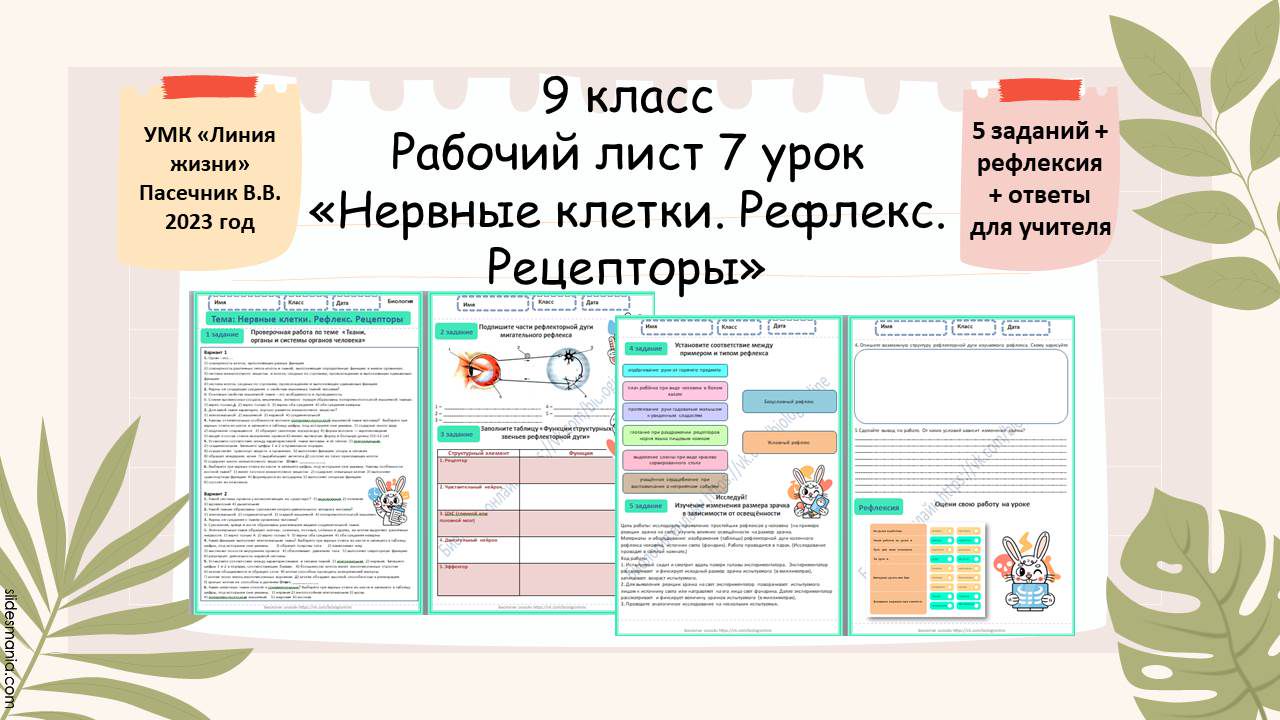 Рабочий лист 7 урок 9 класс «Нервные клетки. Рефлекс. Рецепторы»