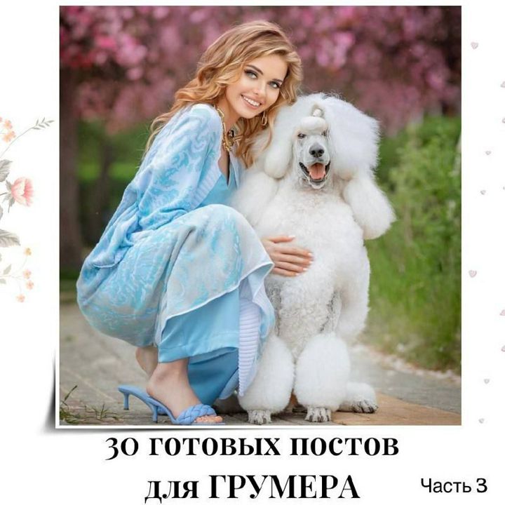 30 ГОТОВЫХ ПОСТОВ ДЛЯ ГРУМЕРА (ЧАСТЬ 3)