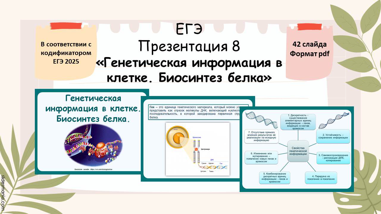 Презентация 8 ЕГЭ «Генетическая информация в клетке. Биосинтез белка»