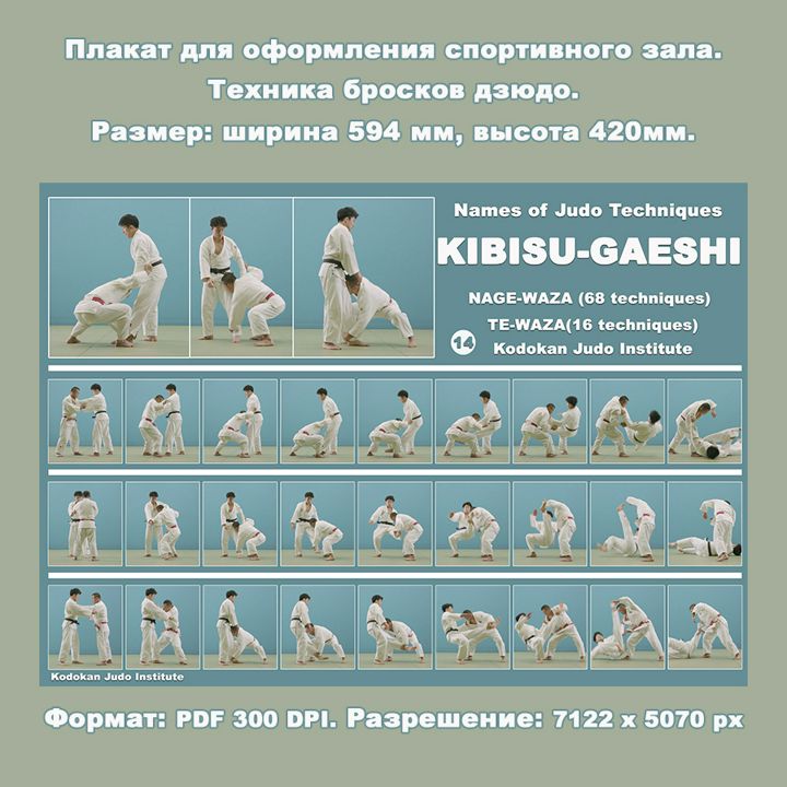 Плакат дзюдо формата А2. Бросок с захватом за пятку KIBISU-GAESHI. Учебное пособие.