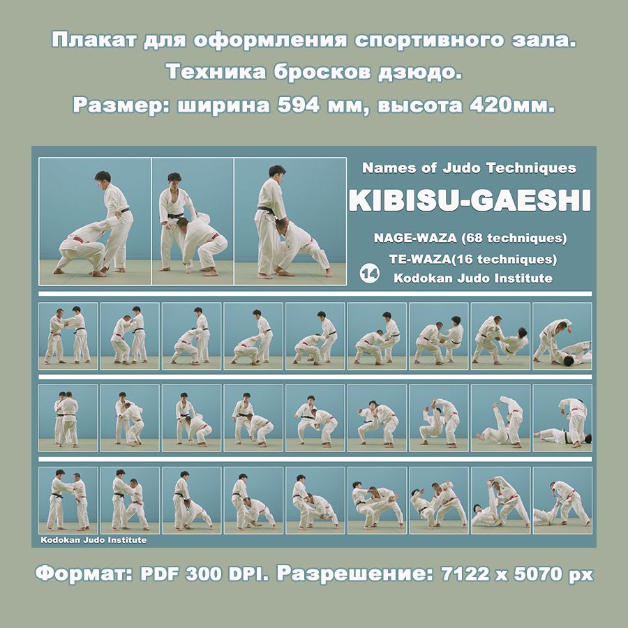 Плакат дзюдо формата А2. Бросок с захватом за пятку KIBISU-GAESHI. Учебное пособие.