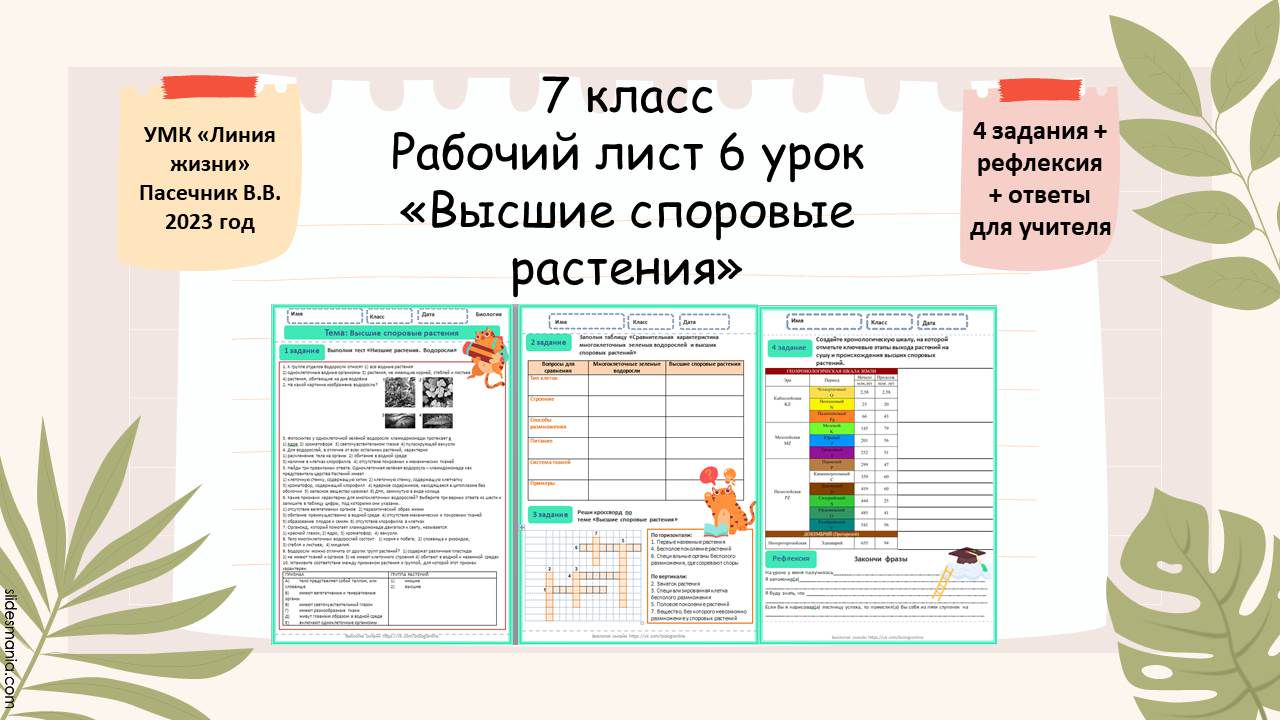 Рабочий лист 6 урок 7 класс «Высшие споровые растения»