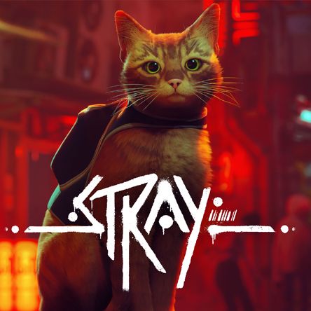 Stray