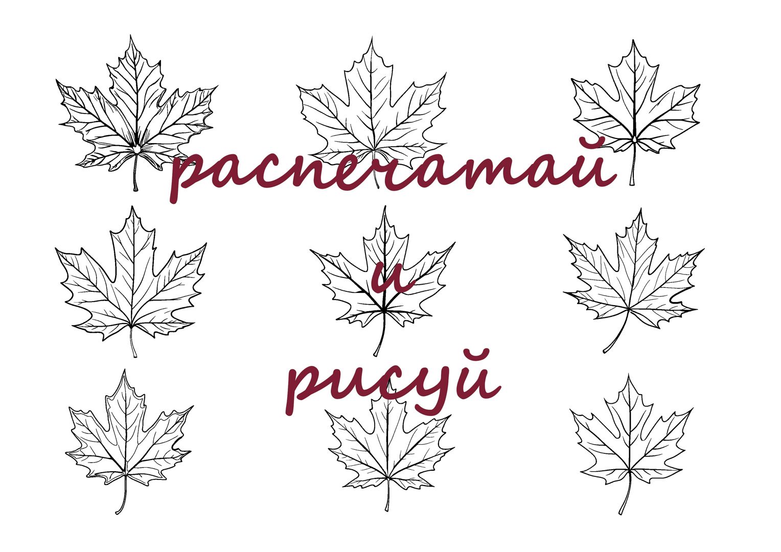 Раскраска для детей «Распечатай и рисуй» кленовый лист 9 шт., размер A4, в формате PDF