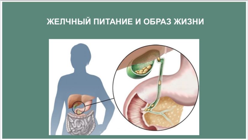 ЖЕЛЧНЫЙ ПИТАНИЕ И ОБРАЗ ЖИЗНИ