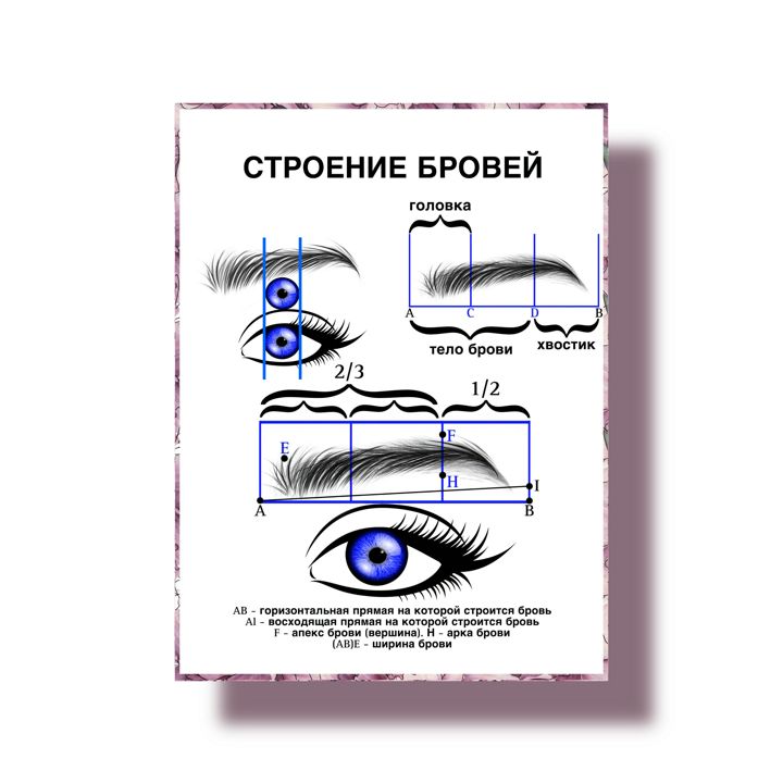 Обучающие плакаты для бровистов