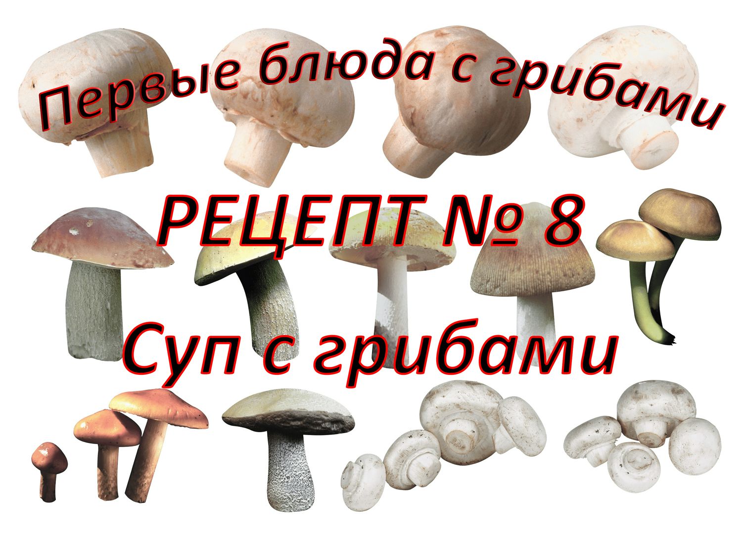 Первые блюда Рецепт № 8 Суп с грибами - Составитель Кормилицын А.А. -  скачать на Wildberries Цифровой | 132348