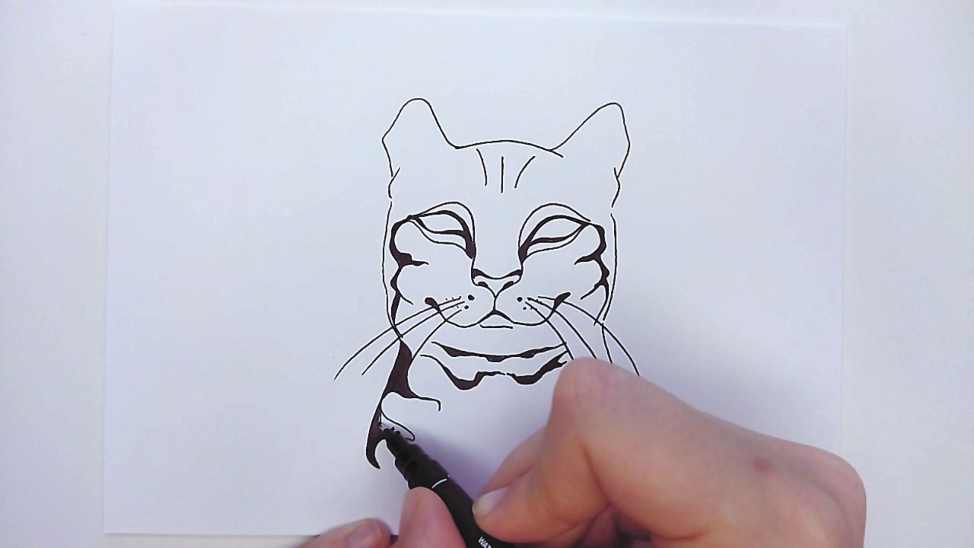 Урок №5. Как нарисовать кота. Черно-белый вариант - смотреть видео онлайн  на Wildberries Цифровой | 125983