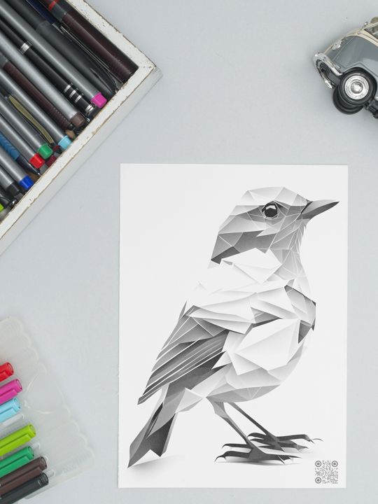 Раскраска Птицы, набор из 10 картинок