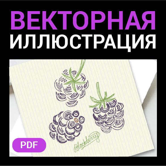 Ежевика как детский рисунок. Векторная картинка ягода pdf. Стиль Цветные карандаши. Высокая четкость