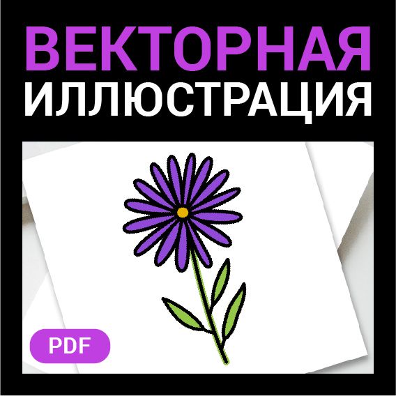 Астра цветок. Векторная картинка pdf в векторе. Высокая четкость при любом масштабе. Иконка без фона