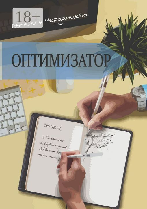 Оптимизатор