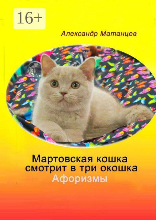 Мартовская кошка смотрит в три окошка