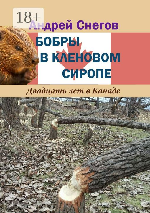 Бобры в кленовом сиропе