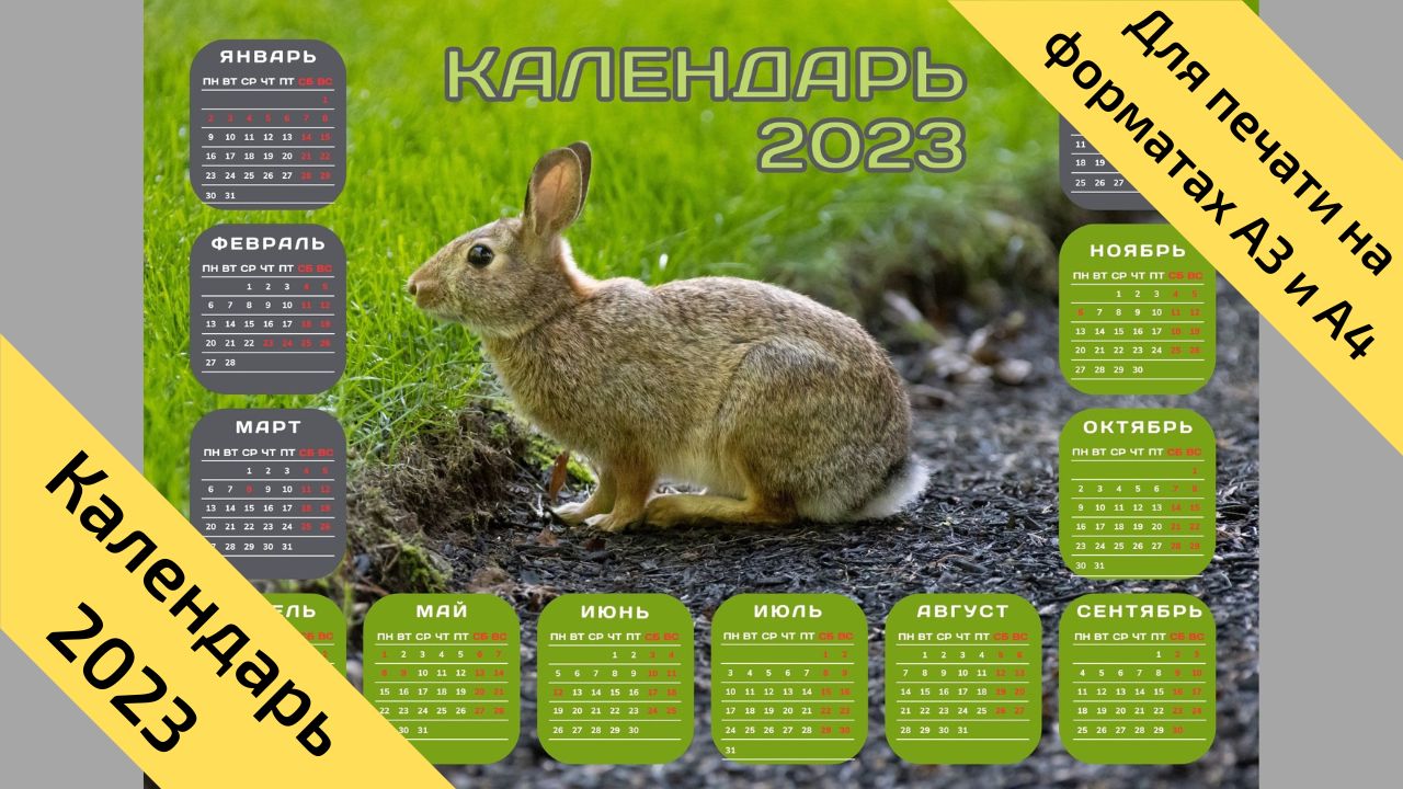 Календарь на 2023 год кролика (кота), горизонтальный, с выходными и праздниками. № 16