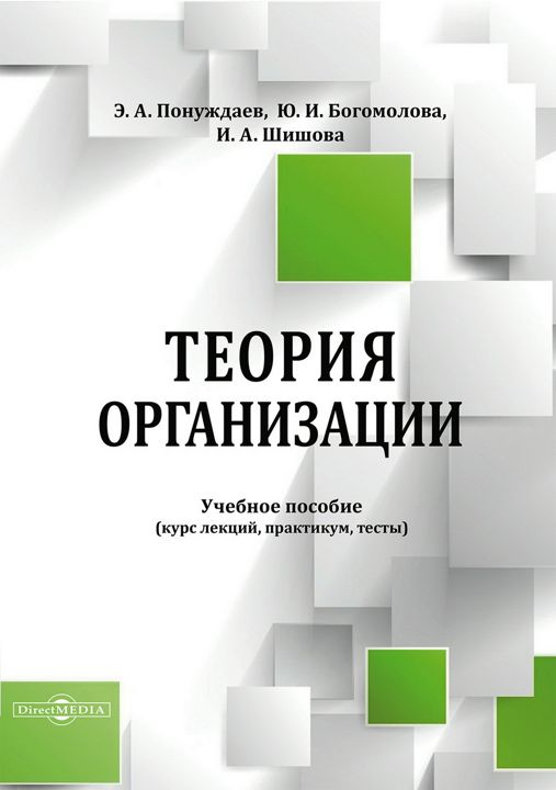 Теория организации : учебное пособие (курс лекций, практикум, тесты)