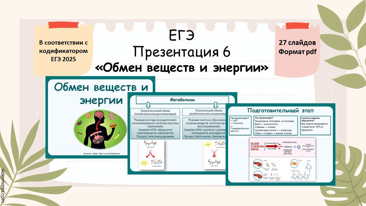 Презентация 6 ЕГЭ «Обмен веществ и энергии»