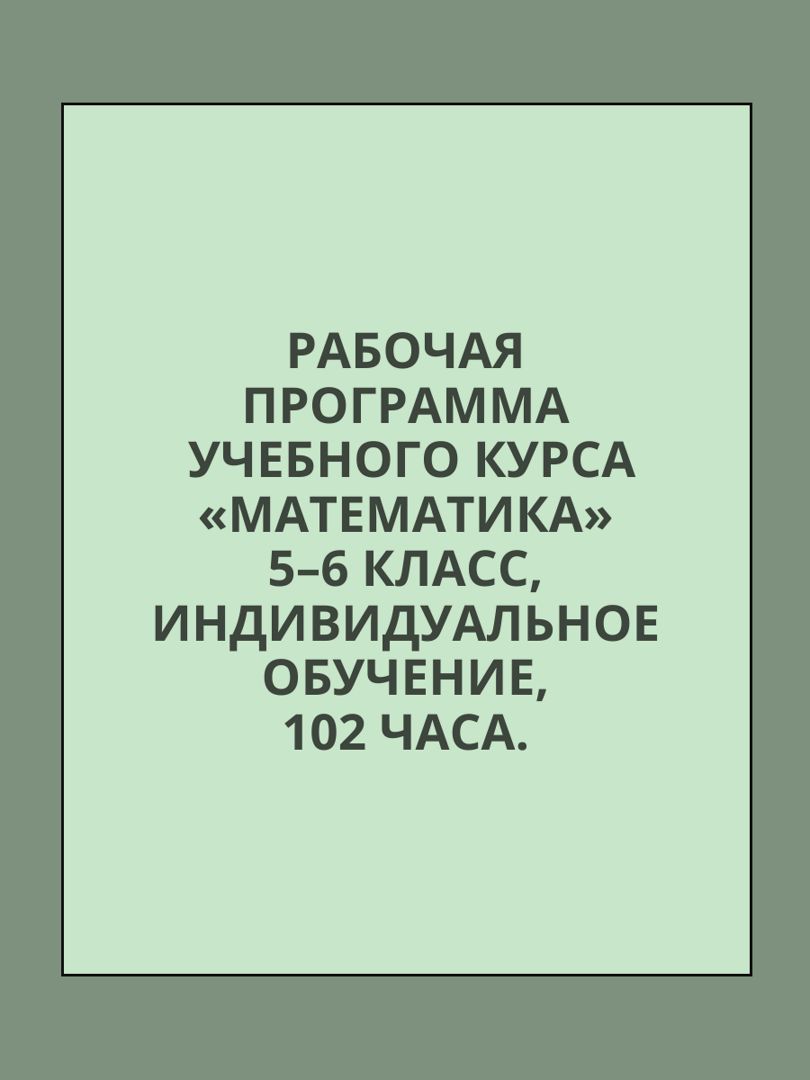 Рабочая программа индивидуального обучения по "Математике" 5-6 классов