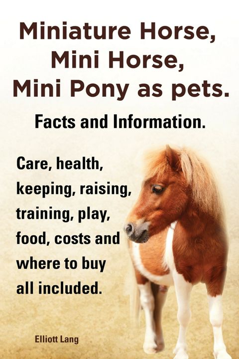 Miniature Horse, Mini Horse, Mini Pony as Pets. Facts and Information. Miniature Horses Care, Hea...