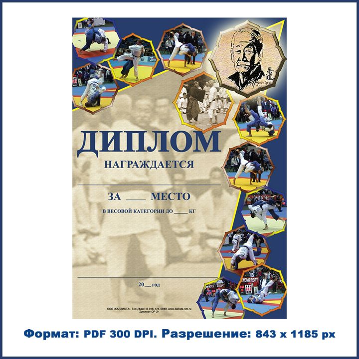 Диплом 2 (грамота) дзюдо формата А4. Для награждения победителей и призёров соревнований.